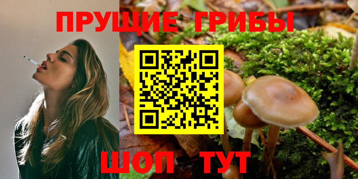 Галлюциногенные грибы Psilocybine cubensis  Вход с VPN  Северск  Галлюциногенные грибы Cubensis 