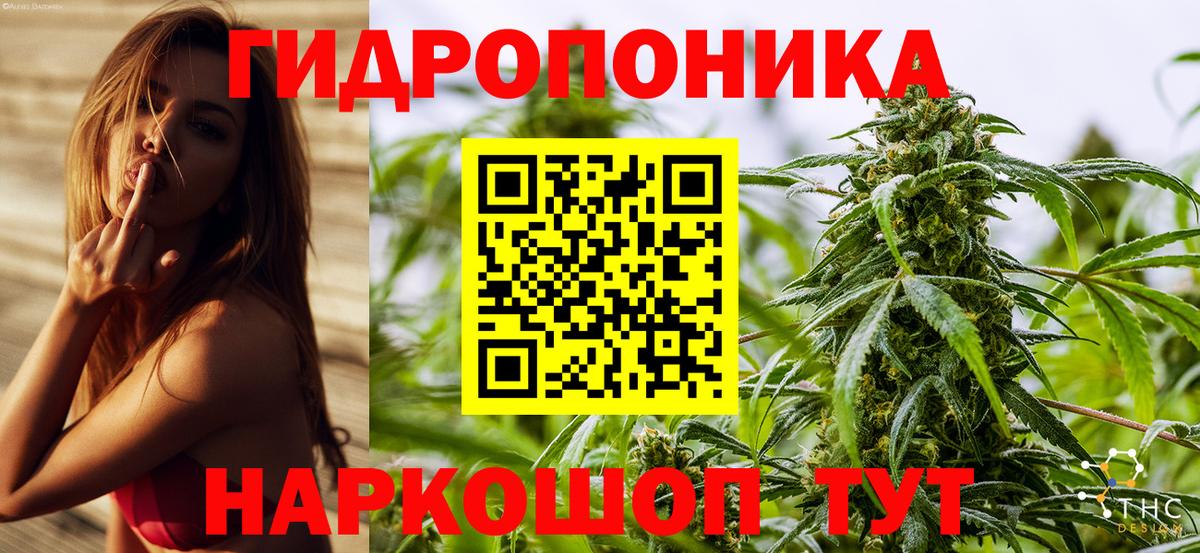 Северск  Шишки марихуана Ganja  Вход с VPN  МАРИХУАНА планчик 